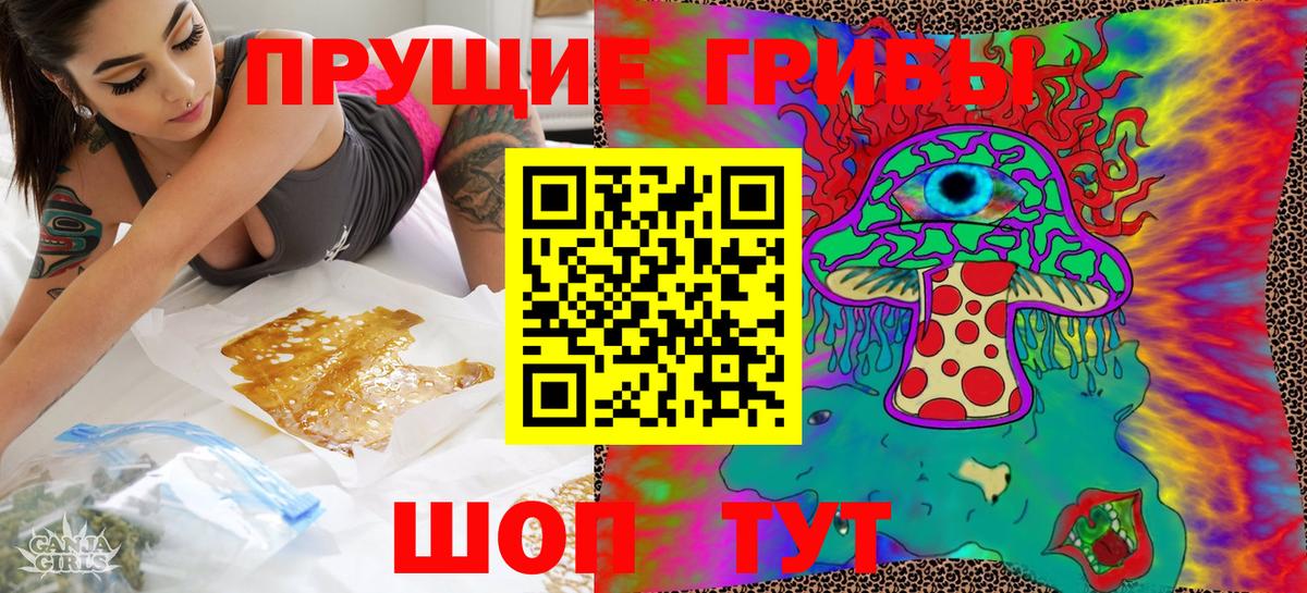 Гудермес  Галлюциногенные грибы Cubensis  Вход с VPN 